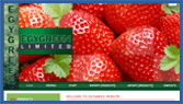 EGYGREEN :Fresh Fruits & Vegetables Import and Export :Egypt :ZANS Pro Web Solution: Website Design & Development in Egypt
