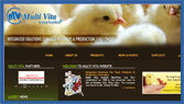 Multi Vita Animal Nutrition :Egypt :ZANS Pro Web Solution: Website Design & Development in Egypt