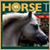 Website Design in Egypt :Horse Times Egypt :The Leading Equestrian Magazine In The Middle East